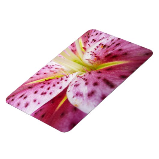 Stargazer Lily Bright Magenta Floral Magneet (Linkerzijde)