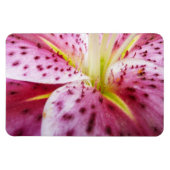 Stargazer Lily Bright Magenta Floral Magneet (Horizontaal)
