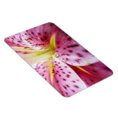 Stargazer Lily Bright Magenta Floral Magneet (Rechterzijde)