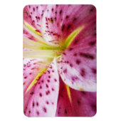Stargazer Lily Bright Magenta Floral Magneet (Verticaal)