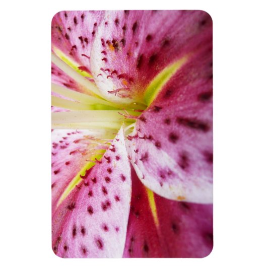 Stargazer Lily Bright Magenta Floral Magneet (Verticaal)