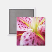 Stargazer Lily Bright Magenta Floral Magneet (Voorkant / Achterkant)