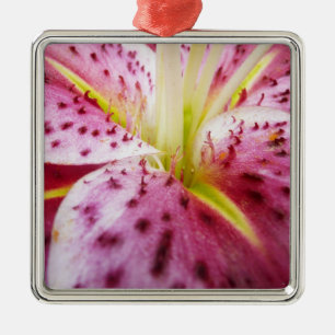 Stargazer Lily Bright Magenta Floral Metalen Ornament