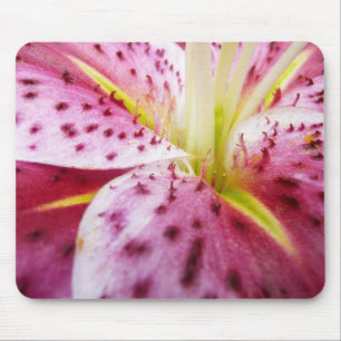 Stargazer Lily Bright Magenta Floral Muismat
