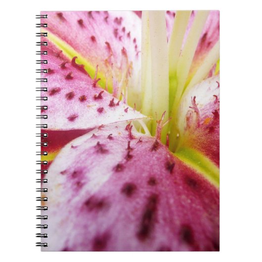 Stargazer Lily Bright Magenta Floral Notitieboek (Voorkant)