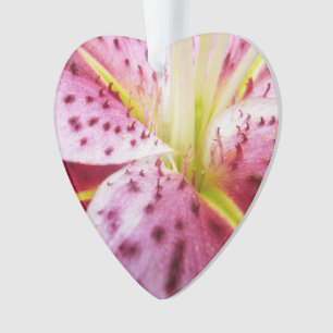 Stargazer Lily Bright Magenta Floral Ornament