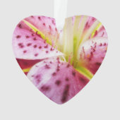 Stargazer Lily Bright Magenta Floral Ornament (achterkant)