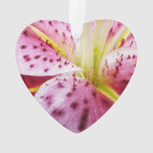 Stargazer Lily Bright Magenta Floral Ornament (achterkant)