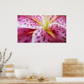 Stargazer Lily Bright Magenta Floral Poster (Keuken)