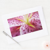 Stargazer Lily Bright Magenta Floral Rechthoekige Sticker (Envelop)