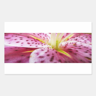 Stargazer Lily Bright Magenta Floral Rechthoekige Sticker