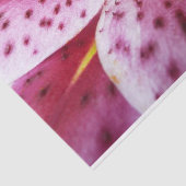 Stargazer Lily Bright Magenta Floral Tissuepapier (Detail)