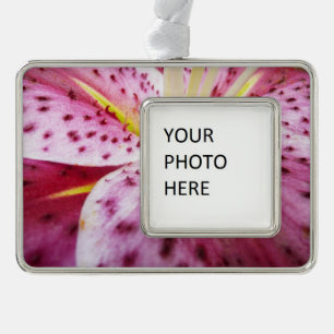 Stargazer Lily Bright Magenta Floral Verzilverd Omlijst Ornament