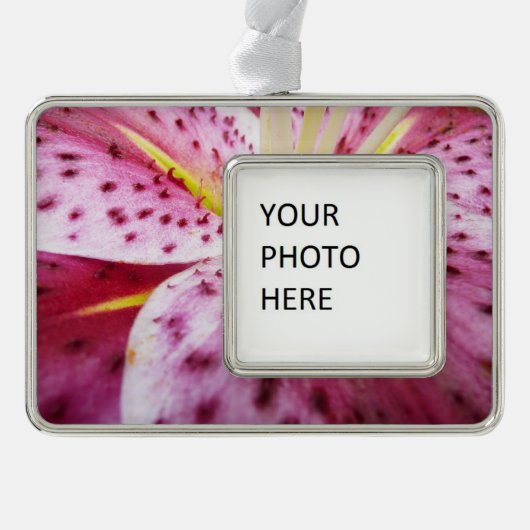 Stargazer Lily Bright Magenta Floral Verzilverd Omlijst Ornament (Voorkant)