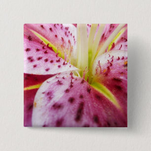 Stargazer Lily Bright Magenta Floral Vierkante Button 5,1 Cm