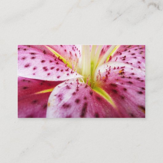 Stargazer Lily Bright Magenta Floral Visitekaartje (Achterkant)