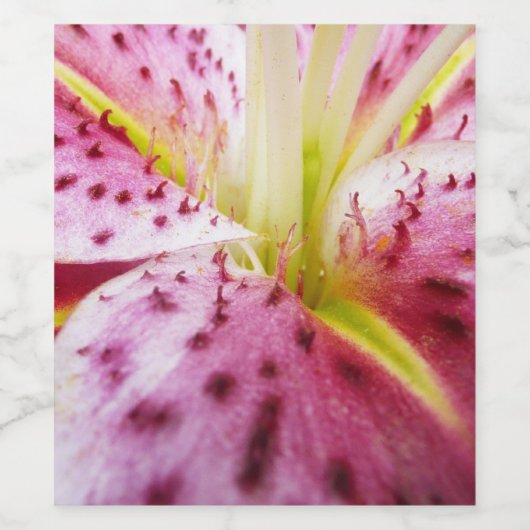 Stargazer Lily Bright Magenta Floral Wijn Etiket (Enkel label)