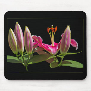 Stargazer Lily Buds en Bloom Muismat