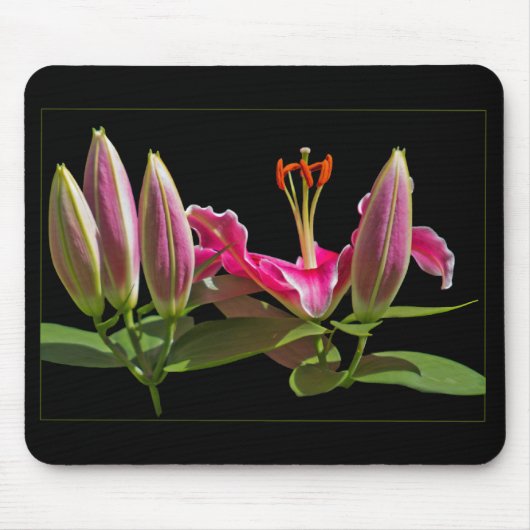 Stargazer Lily Buds en Bloom Muismat (Voorkant)