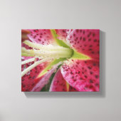Stargazer Lily Canvas Afdruk (Voorkant)