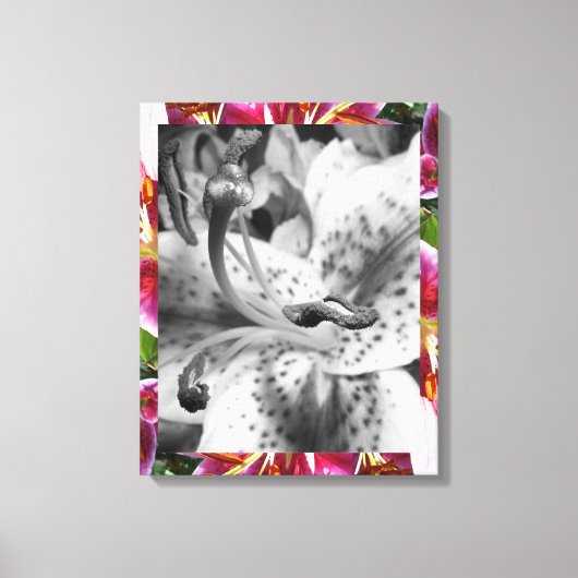 Stargazer Lily Canvas Afdruk (Voorkant)