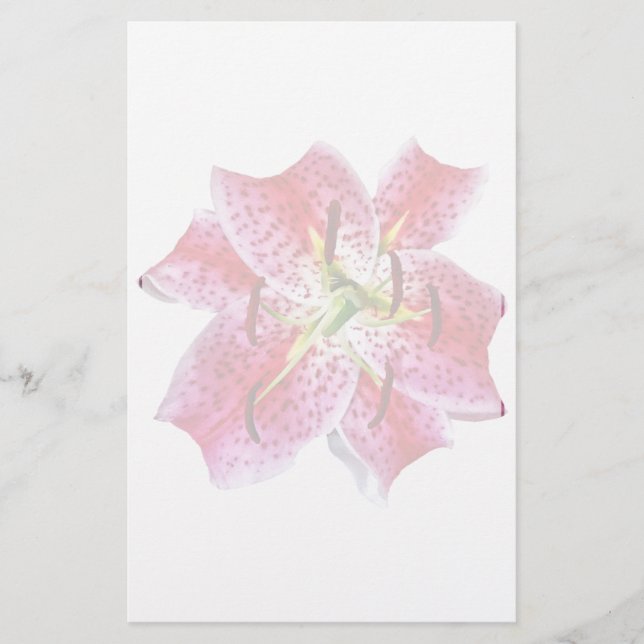 Stargazer Lily Closeup (Voorkant)