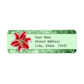 Stargazer Lily Etiket (Voorkant)