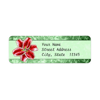 Stargazer Lily Etiket