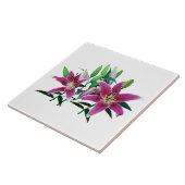 Stargazer Lily Familie Tegeltje (Zijkant)