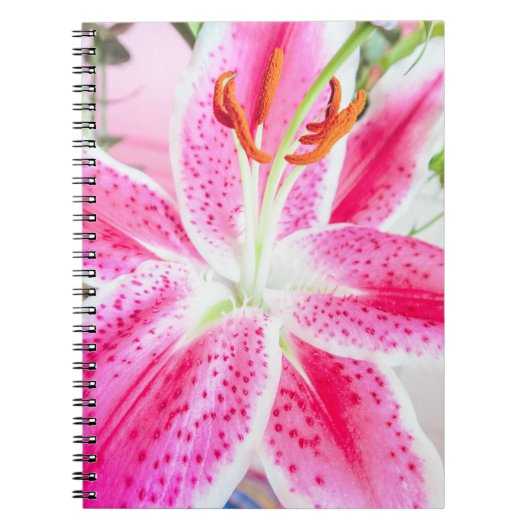 Stargazer Lily Flower Notitieboek (Voorkant)