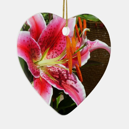 Stargazer Lily Fotograaf Ornament (Rechts)