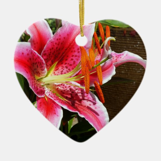 Stargazer Lily Fotograaf Ornament (Voorkant)