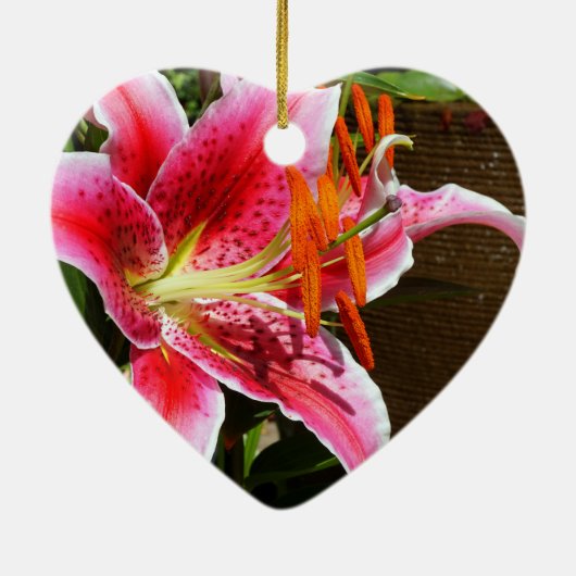 Stargazer Lily Fotograaf Ornament (Achterkant)