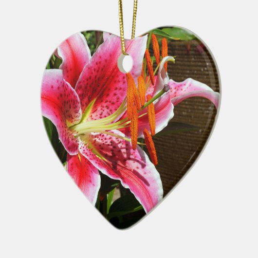 Stargazer Lily Fotograaf Ornament (Links)