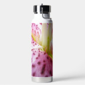 Stargazer Lily Helder Magenta Bloem Waterfles (Links)