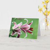 Stargazer lily kaart (Gele Bloem)