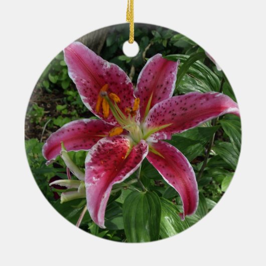 Stargazer Lily Keramisch Ornament (Achterkant)