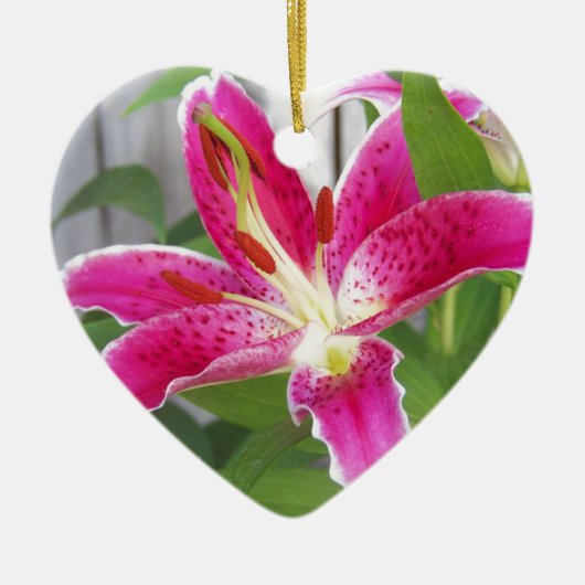 Stargazer Lily Keramisch Ornament (Voorkant)