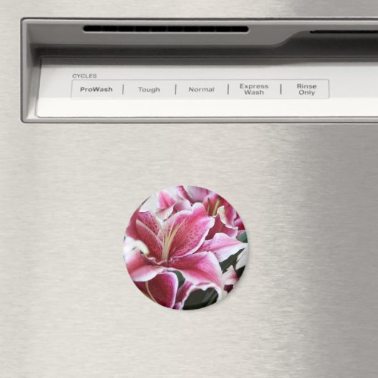 Stargazer Lily Magneet (Insitu (Vaatwasser))