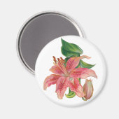 Stargazer Lily Magneet (Voorkant / Achterkant)
