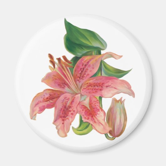 Stargazer Lily Magneet (Voorkant)