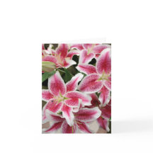 Stargazer Lily Note Kaart - Blank