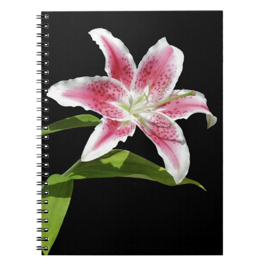 Stargazer Lily Notitieboek (Voorkant)