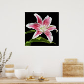 Stargazer Lily Poster (Keuken)