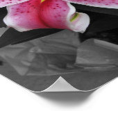 Stargazer Lily Poster (Hoek)