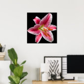 Stargazer Lily Print (Thuiskantoor)