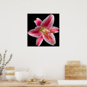 Stargazer Lily Print (Keuken)