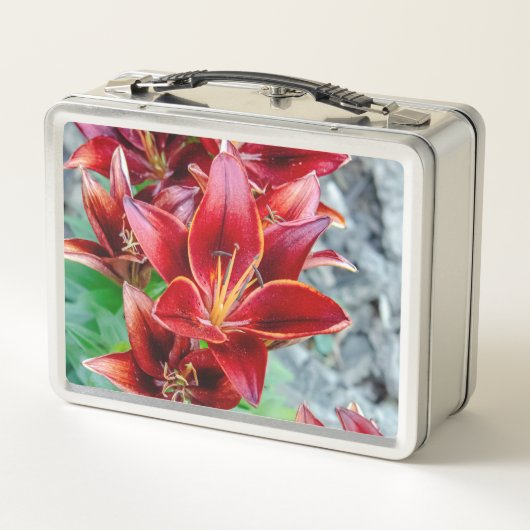 Stargazer Lily, Rode Bloem Fotografie (Achterkant)