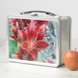 Stargazer Lily, Rode Bloem Fotografie