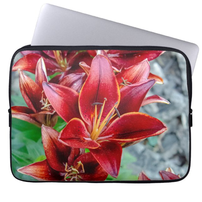 Stargazer Lily, Rode Bloem Fotografie Laptop Sleeve (Voorkant)